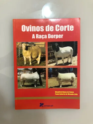 Livro Ovinos de Corte -Dorper