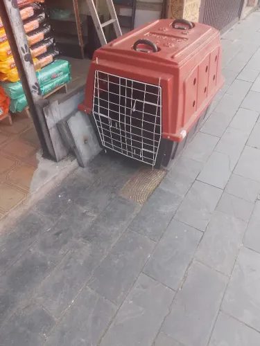 Caixa de transporte número 5