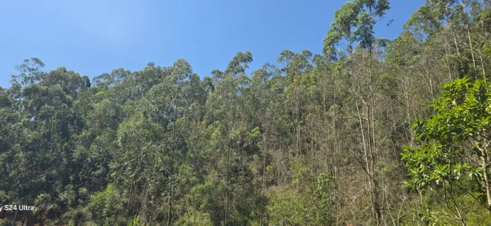 Chácara 2.000 m² - Alto Tijuco Preto | Domingos Martins ES, água, energia, parcelo