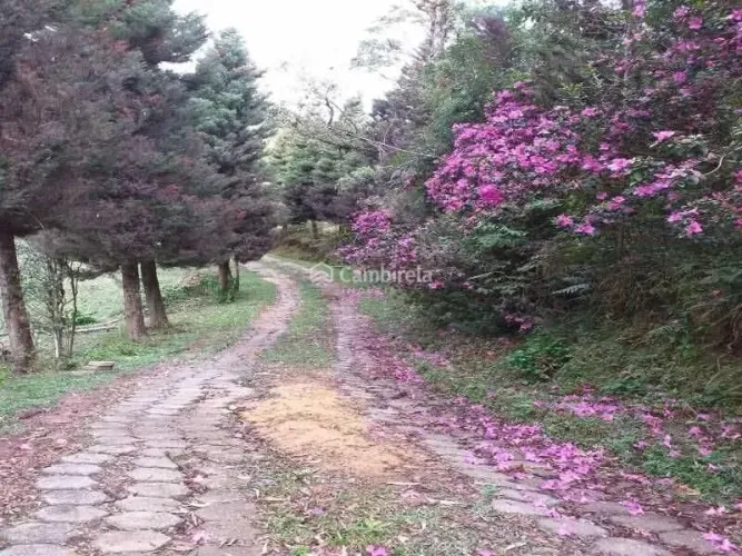 Sítio à venda em Águas Mornas/SC