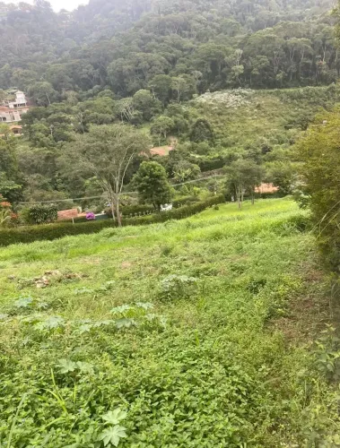 Terreno com 3 mil metros quadrados, rodeado de verde e topografia excelente para construçã