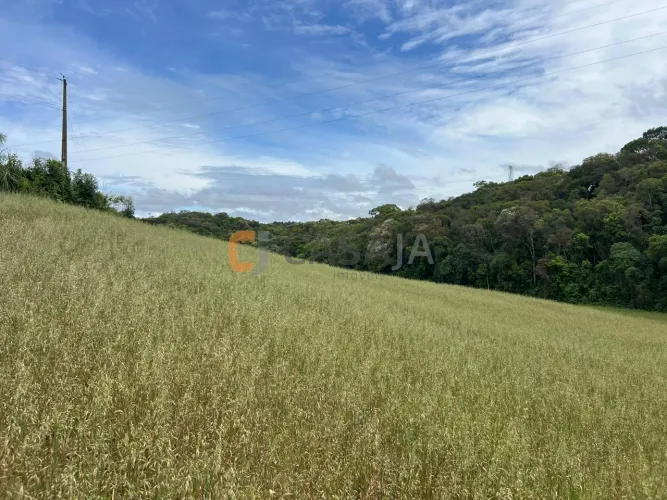Land em Campo Largo - Paraná, Bateias