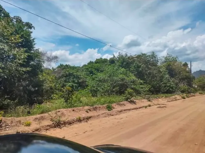 Cantazinho 