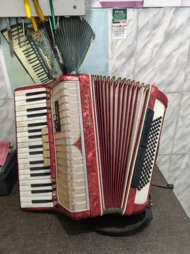 Sanfona HERG 80 baixos