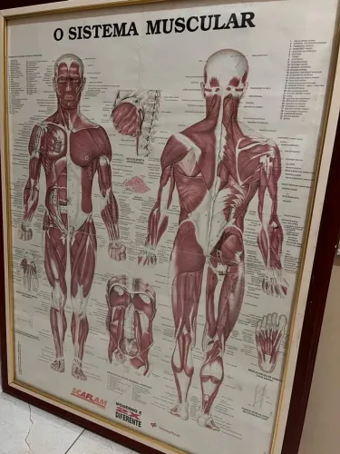 Quadros (para clinicas de fisioterapia e ou pilates).