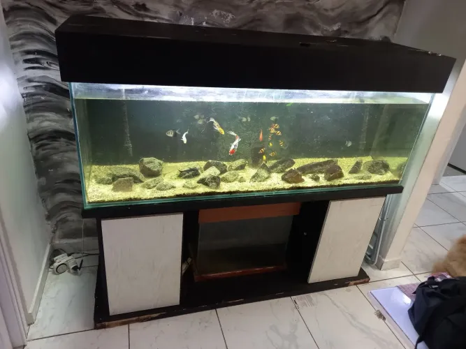 Aquário 500 litros