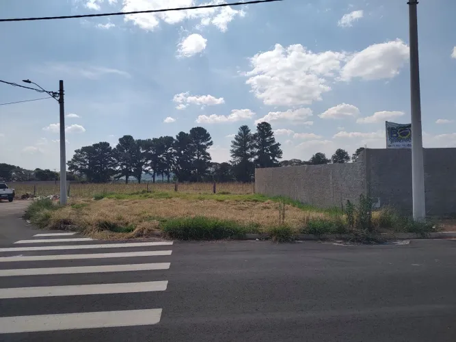 Terreno Vila Florida - Mogi Guaçu 202m²