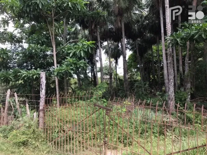 Terreno rural à venda, Zona Rural, Barreirinhas - TE0144.