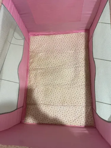 Pinteiro Infantil Feminino