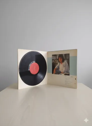 Vinil Roberto Carlos