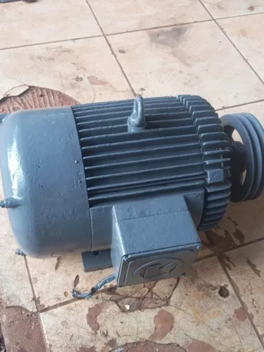 Motor 15 CV Trifásico 