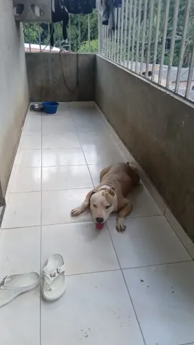 Venda por motivo de doença,