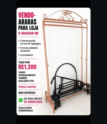 Araras loja ! 
