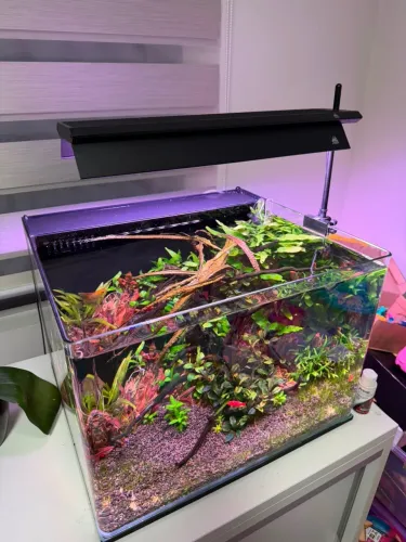Luminária s450pro WEEK Aqua plantado
