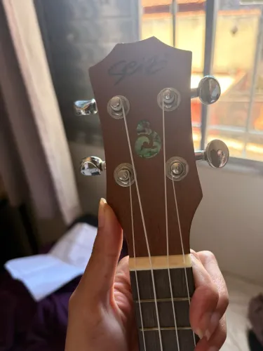 Ukulele seizi
