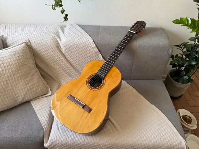 Violão Di Giorgio Student 18 de 1972 regulado e nova pintura
