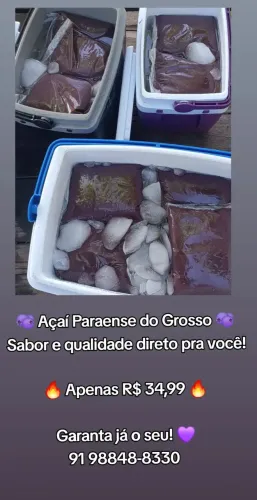 Açaí do pará- *