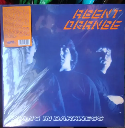 Agent Orange living in the darkness skate punk rock hardcore