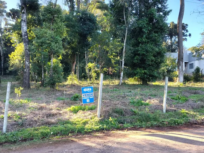 Vendo chácara/terreno de excelente localização e topografia com escritura pública.
