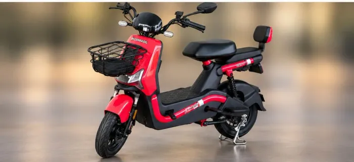 Scooter elétrica Eco Brasil Duos 800w