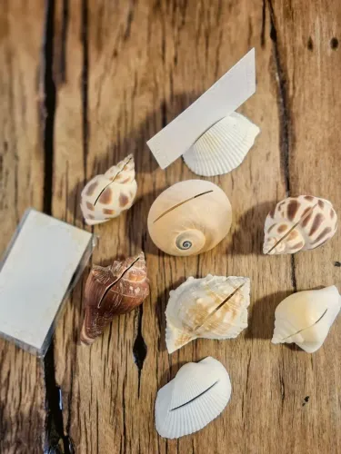 Kit Porta-Recados com Conchas Naturais - Tema Praia - 8 Unidades