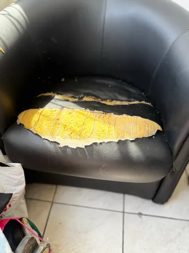 Poltronas