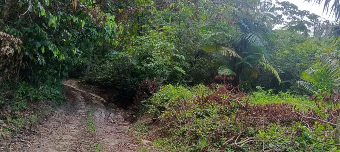 Terreno na agrovila Itaqui