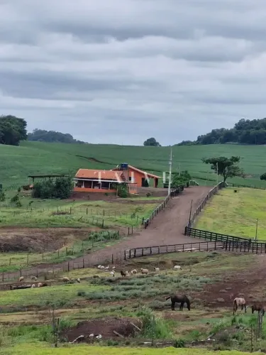 Fazenda à Venda, 102 alqueires, pastagem e plantio, com casas sede, funcionários e Colonia