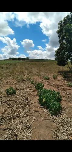 Vendo terreno (6 tarefas)
