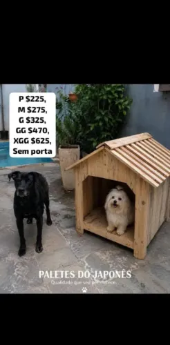 Casa Pet cachorro