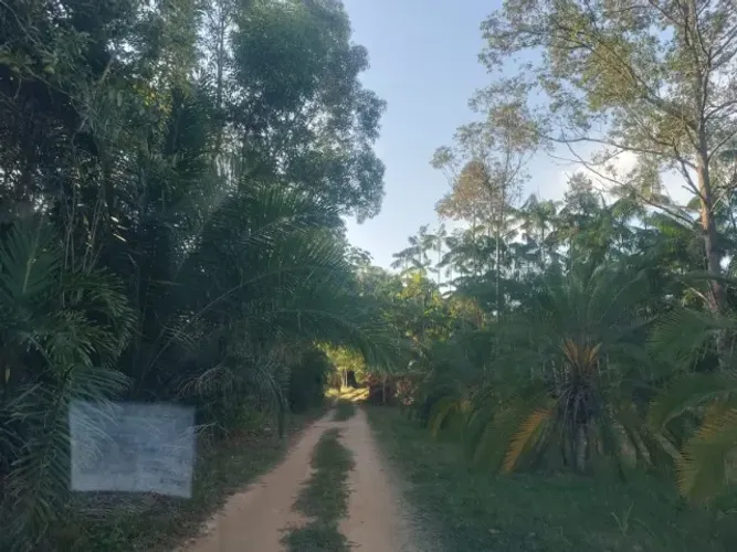 Terreno no sítio com 1.000m2,