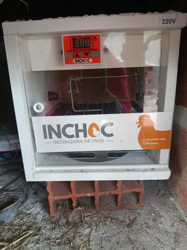 Chocadeira