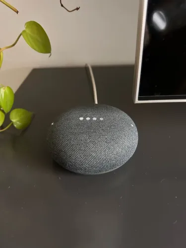 Google Home Mini