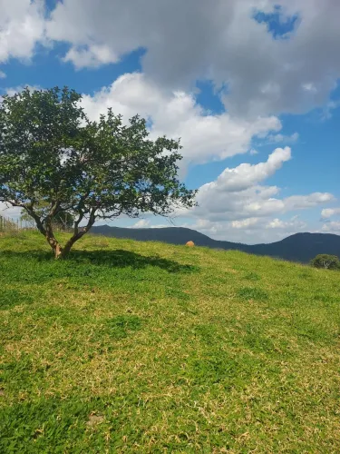 Imóvel rural são thomé das letras