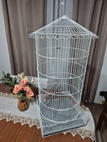 Gaiola