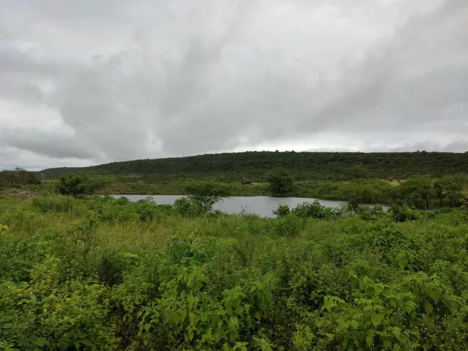 Vendo/ permuto fazenda de 50/ 100/150/200 Ha na zona rural de Sao José da mata / C.Grande 