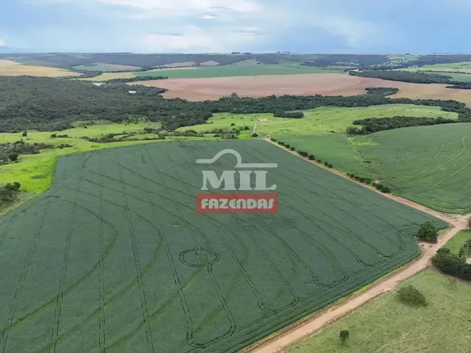 Fazenda 163,8 alqueires (793,16 hectares) Ipameri - Go