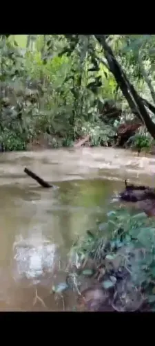 Vendo uma terra município d rio dos bois s