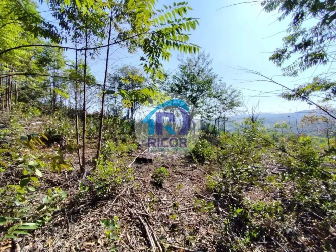 Terreno, 10 hectares, à venda por R$ 330.000 - Zona Rural - Pará de Minas/MG