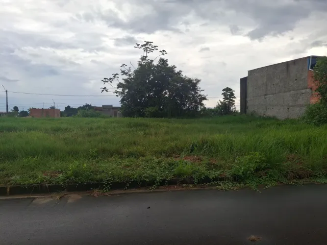 Terreno no residencial Amazonas 2