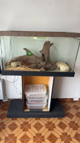 Terrário completo - somente venda