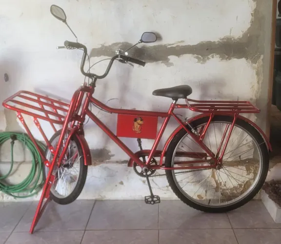 Bicicleta Cargueira 