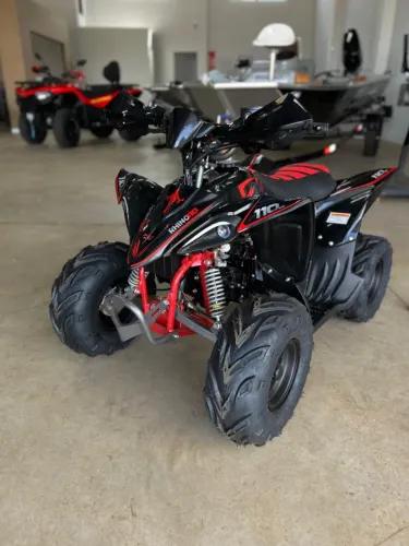 QUADRICICLO RHINO 110