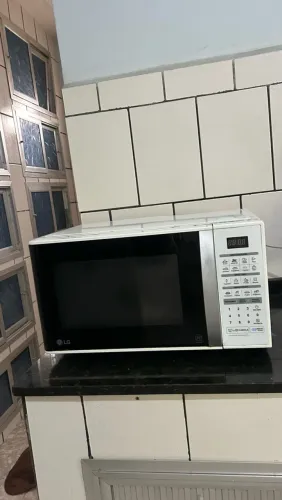 LG MS3042B de 30 litros