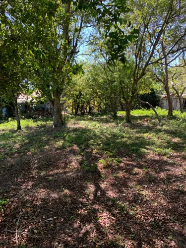 Vendo área 6240 m2 ideal casa sítio área alta