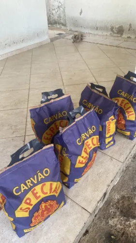 Carvão 3 e 10kg