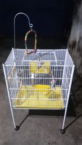 Gaiola viveiro para pássaros 