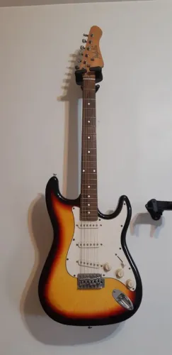 Guitarra Stratocaster Dolphin