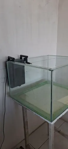 Aquário 