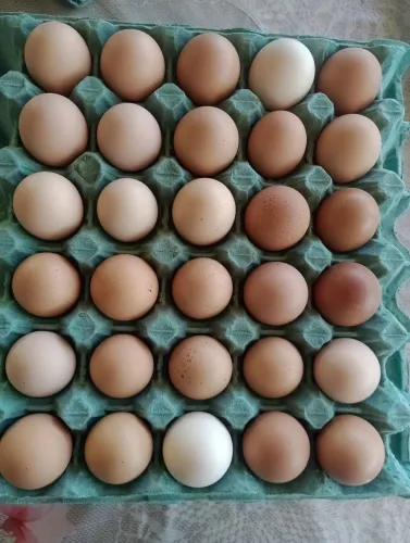 OVOS CAIPIRA